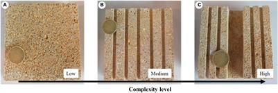 Assessing Tolerance to the Hydrodynamic Exposure of Posidonia oceanica Seedlings Anchored to Rocky Substrates